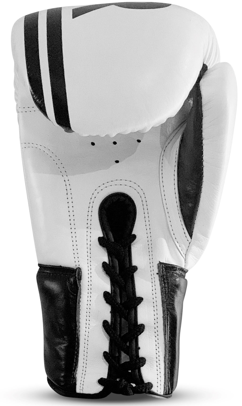 SPAR Canada Competition Boxing Gloves